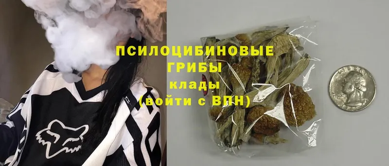 магазин продажи наркотиков  Таганрог  МЕГА ТОР  Галлюциногенные грибы MAGIC MUSHROOMS 